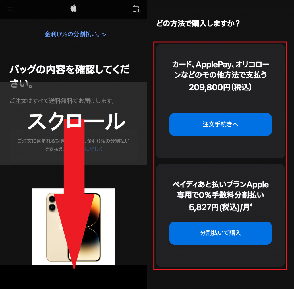 Apple Storeの支払い方法選択画面