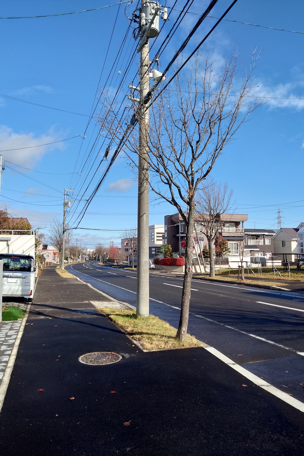 エクスペリア5 4で撮影した日中の風景