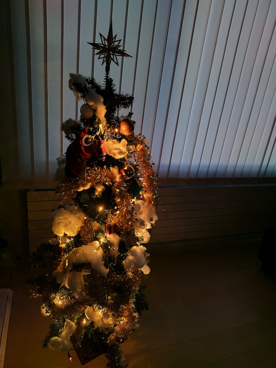 AQUOS sense7 撮影 画像