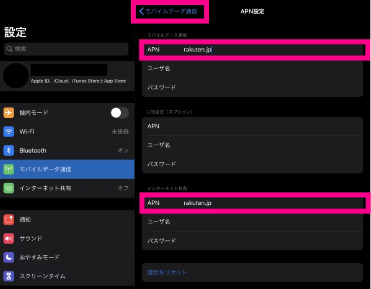 iPadのAPN設定画面