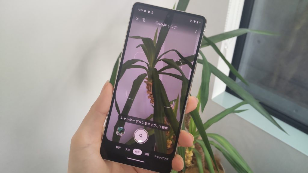 Google Pixel 7のサイズ感