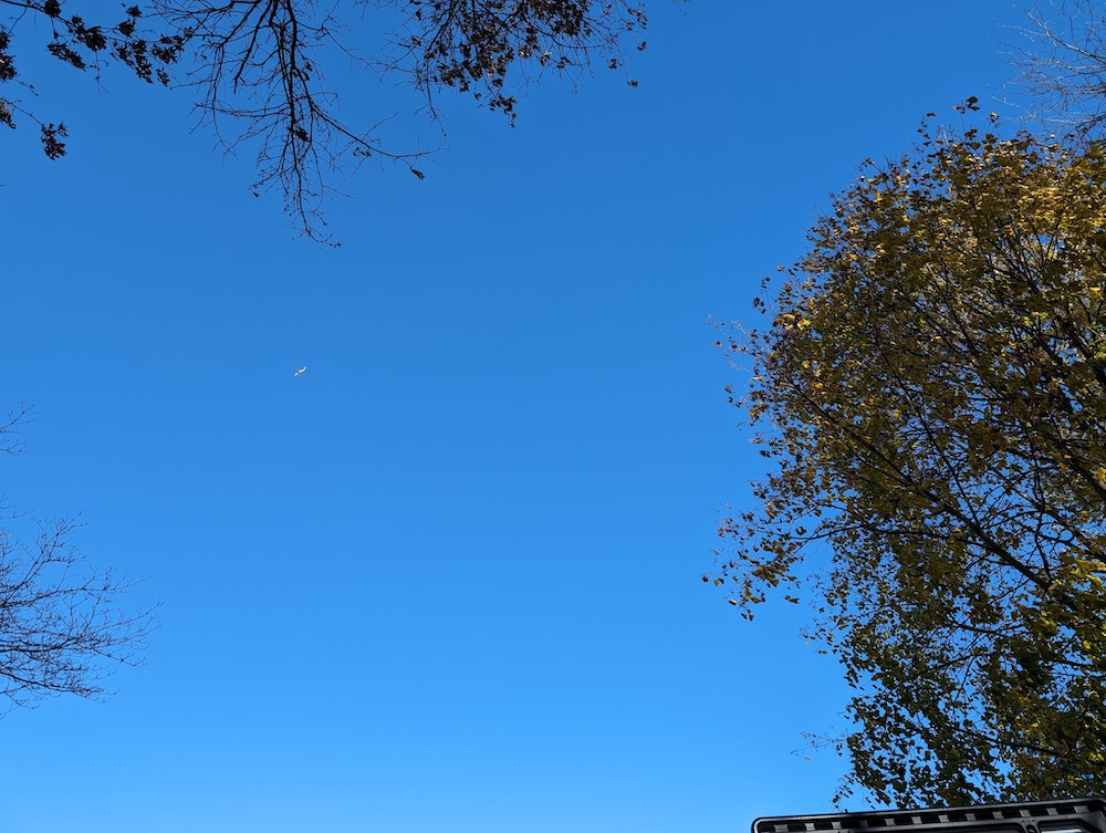 Google Pixel 8での撮影写真