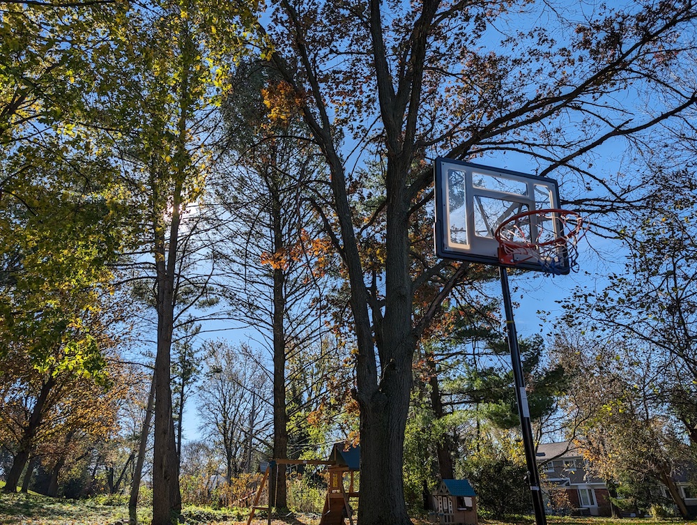 Google Pixel 8での撮影写真