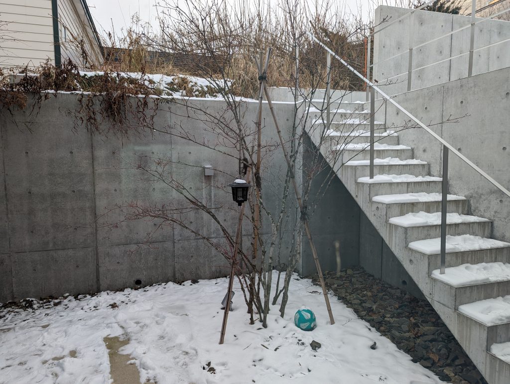 Google Pixel 7で撮影した日中の外の風景