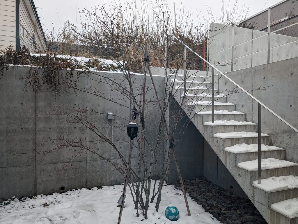 Google Pixel 8 Proで風景を日中に撮影した画像