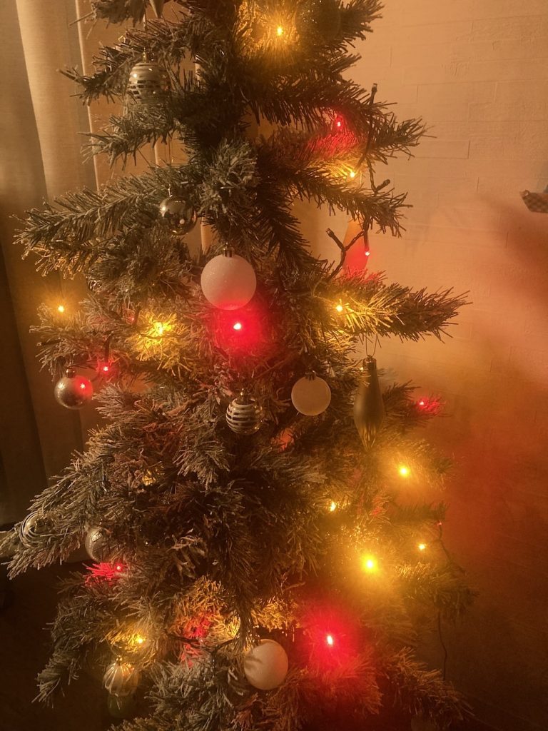 iPhone SE（第3世代）　撮影画像