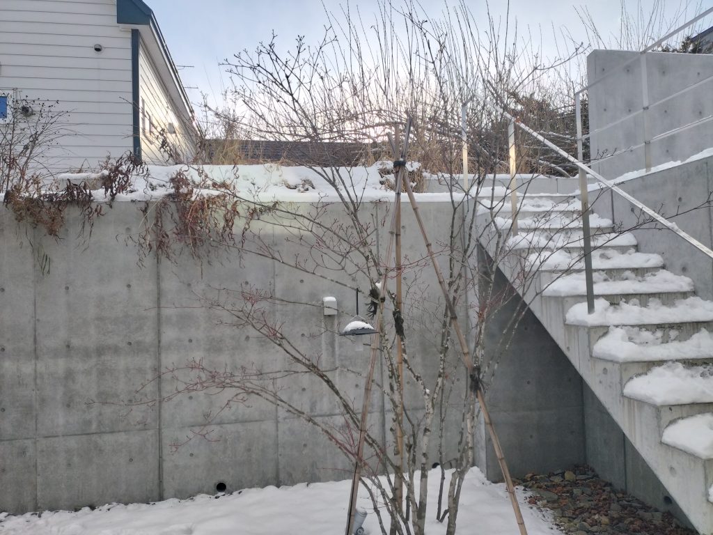 OPPO Reno7 A 写真撮影