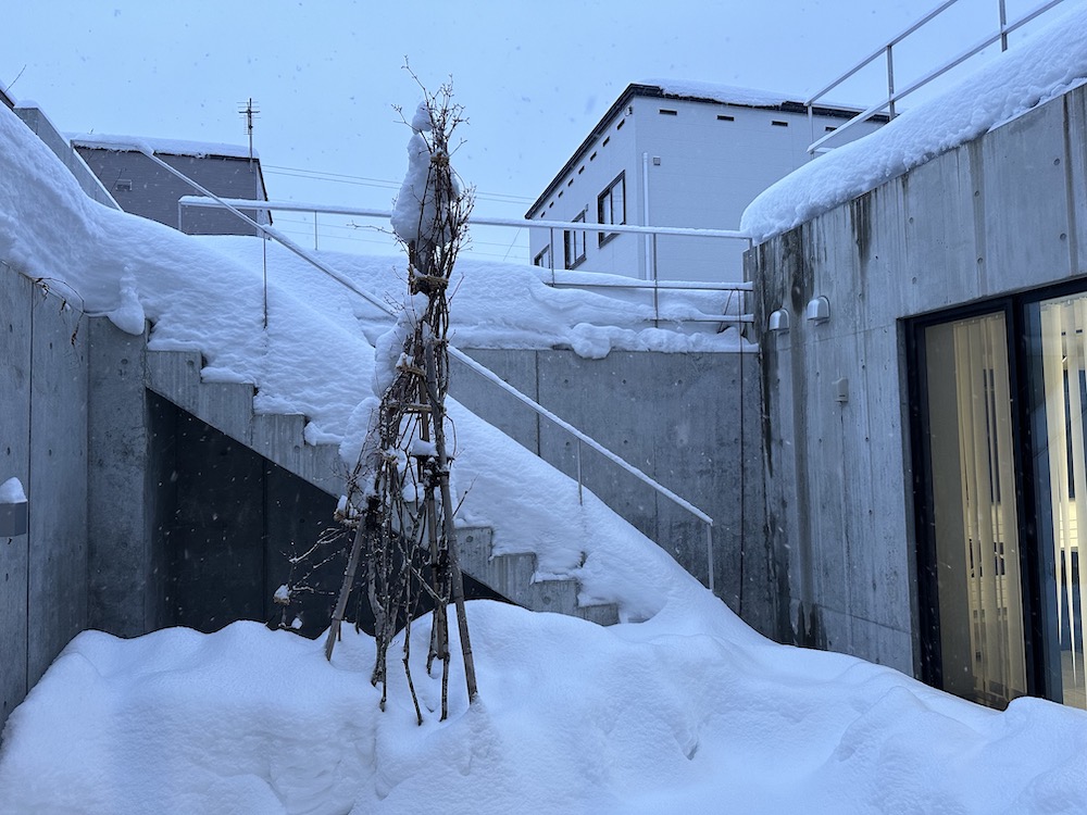 iPhone 14 Proで撮影した写真