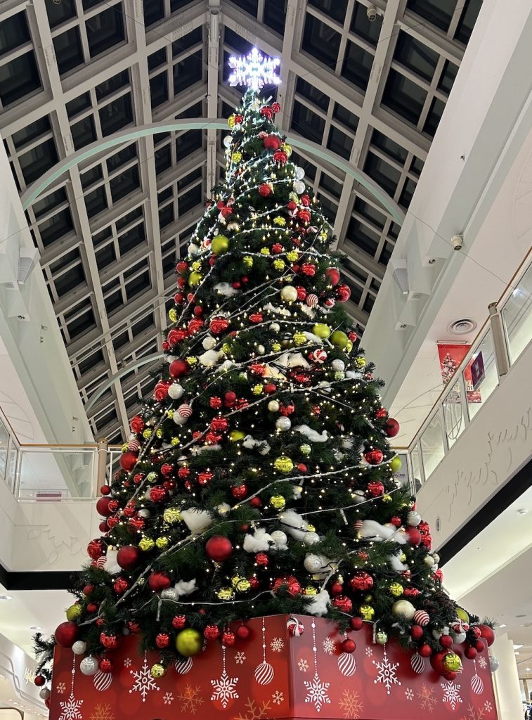 iPhone 14で撮影した写真