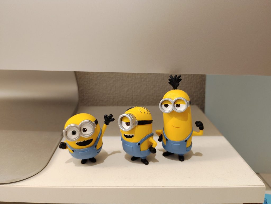 arrows We2 Plus M06で撮影した写真