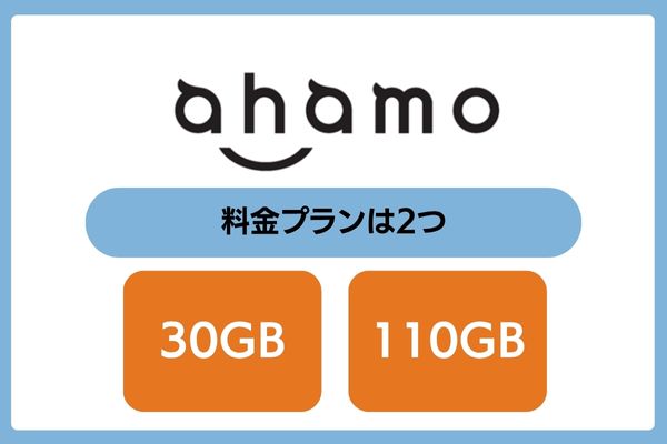 ahamoの料金プランは30GBと110GBの2つ