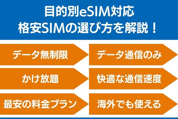 eSIM対応 格安SIM 選び方