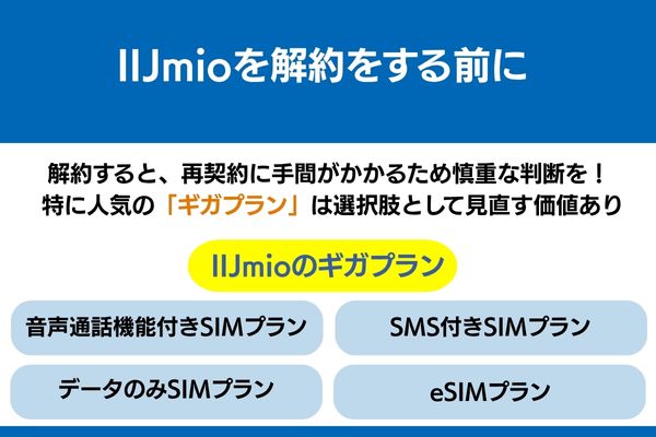 iijmio 解約 プラン 見直し