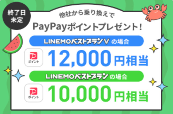PayPayポイントプレゼントキャンペーン
