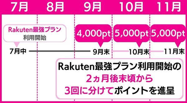 三木谷キャンペーン ポイント付与のタイミング
