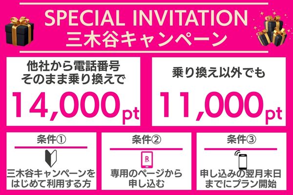 三木谷キャンペーン