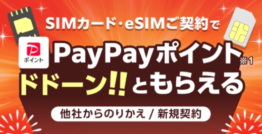 ヤフー店 ワイモバイル SIM契約特典