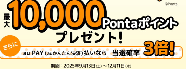 エントリー&1注文3,000円以上対象アクセサリ購入の方、抽選で最大10,000Pontaポイントプレゼント！