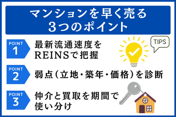 マンションを早く売るコツ|3〜6ヶ月で買主を見つける逆算スケジュール