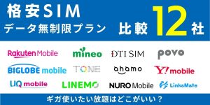 ギガ使いたい放題はどこがいい？データ無制限の格安SIMプラン12社を徹底比較！